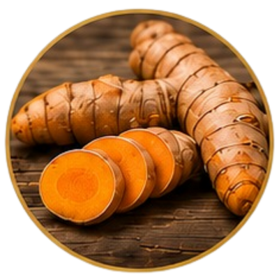 Turmeric Extract